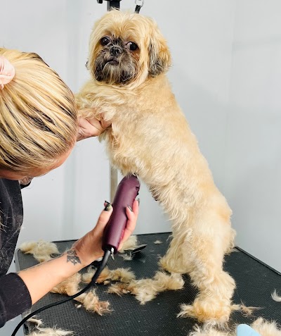 Photo associated with Valley House Dog Groomers