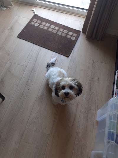 Photo associated with Leah's Dog Grooming