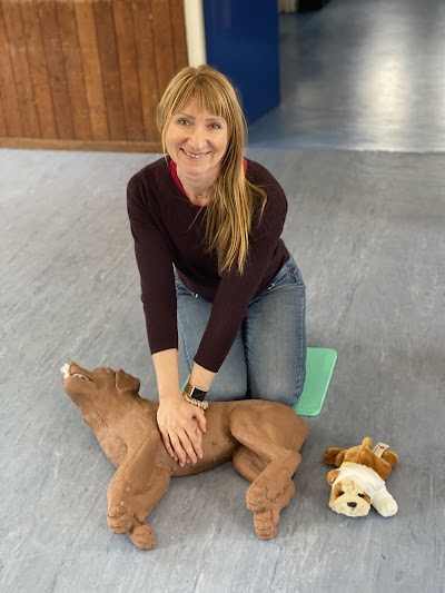 Photo associated with Dog Spa Harrow Small and Medium Pet Grooming Services