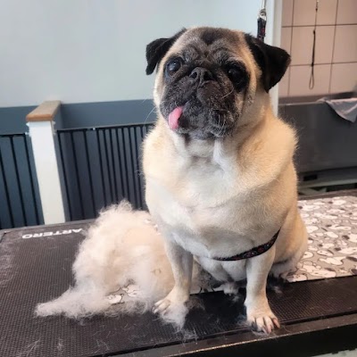 Photo associated with Barklands Dog Grooming