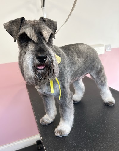 Photo associated with Bark & Bloom Dog Grooming