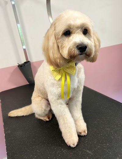 Photo associated with Bark & Bloom Dog Grooming