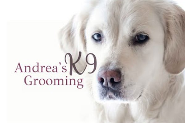 Photo associated with Andrea's K9 Grooming