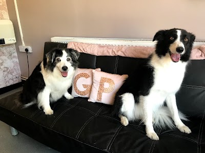 Photo associated with Glamorous Paws - Dog Grooming