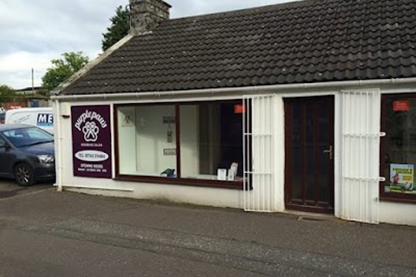 Photo associated with Purple Paws Grooming Salon