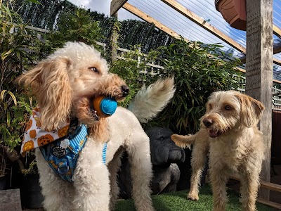 Photo associated with The Dog Wash Company