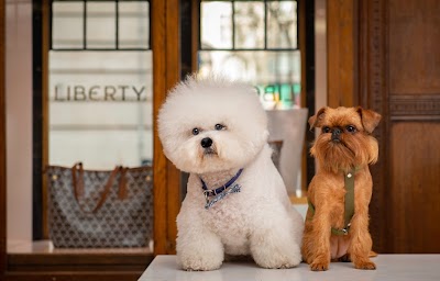 Photo associated with London Dog Grooming Company