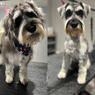 Photo associated with Zen dog grooming and spa