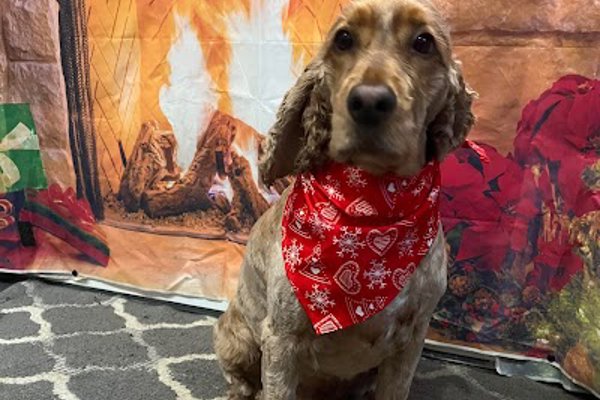 Photo associated with Dirtywoofers