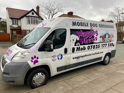 Photo associated with Wagging Wheels Mobile Dog Grooming