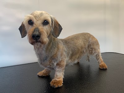 Photo associated with Wagging Wheels Mobile Dog Grooming