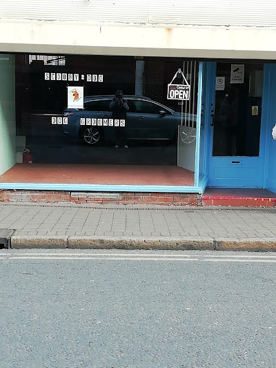 Photo associated with Scooby-doo dog groomers