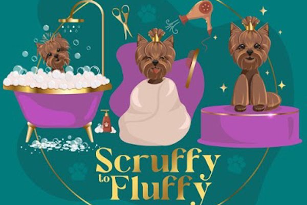 Photo associated with Scruffy to Fluffy Dog Grooming
