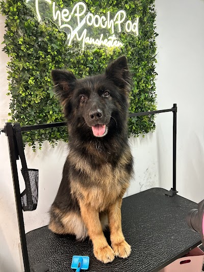 Photo associated with The Pooch Pod Manchester