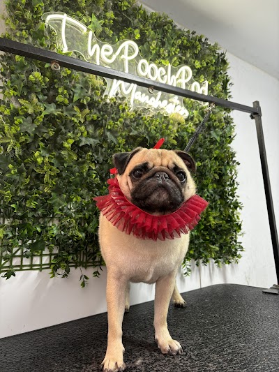 Photo associated with The Pooch Pod Manchester