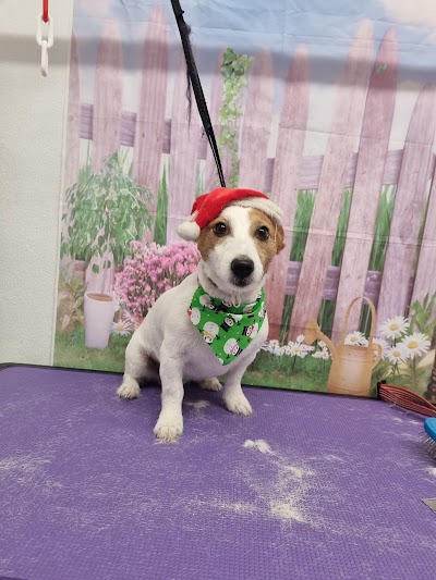 Photo associated with Muckypups Hub