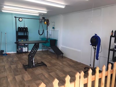 Photo associated with Groomer has it… by Keeley