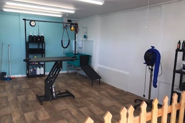 Photo associated with Groomer has it… by Keeley