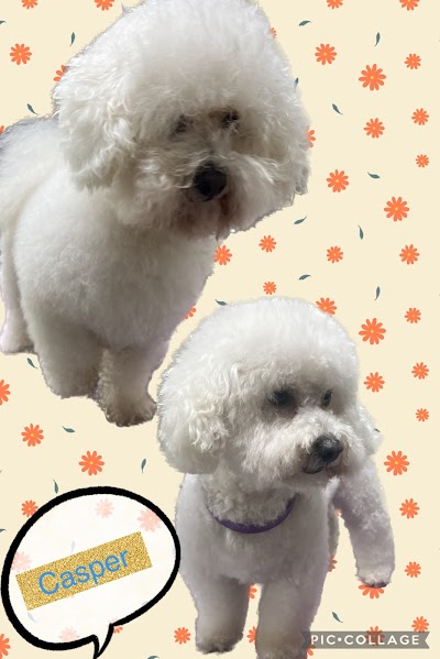 Photo associated with Clipperz dog grooming & Sharpening service