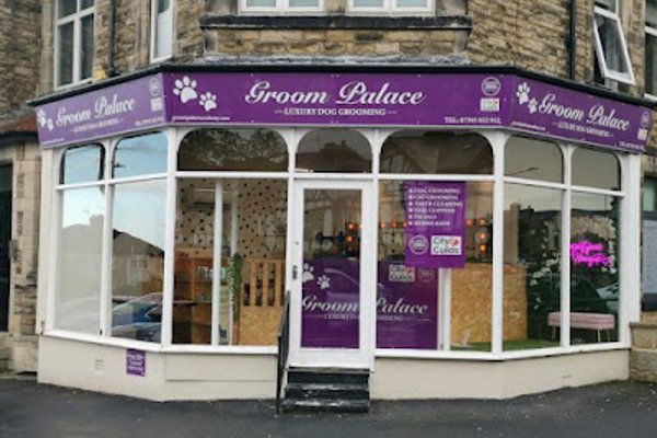 Photo associated with Groom palace Harrogate Dog Grooming pet Groomers