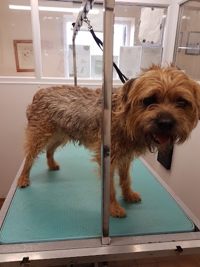 Photo associated with Waggs Wash & Go Grooming Salon