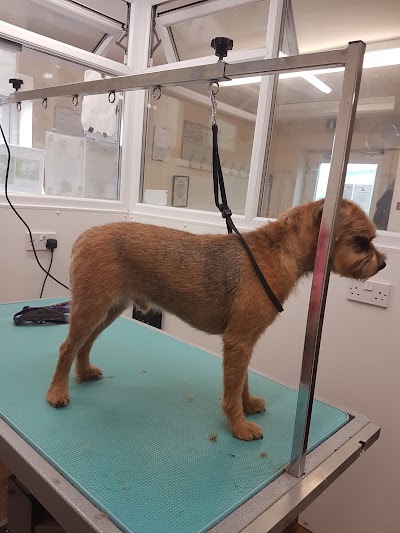 Photo associated with Waggs Wash & Go Grooming Salon