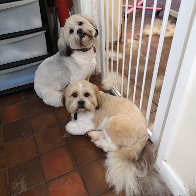 Photo associated with Waggs Wash & Go Grooming Salon