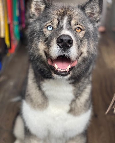Photo associated with FOXY GROOMERS