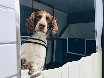 Photo associated with Mrs Cooke's Dog Services Limited