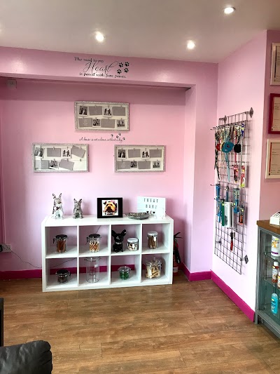 Photo associated with Pretty Pawz Dog Grooming
