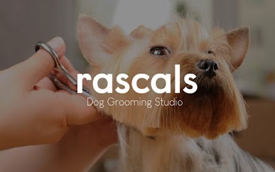Photo associated with Rascals Dog Grooming Studio