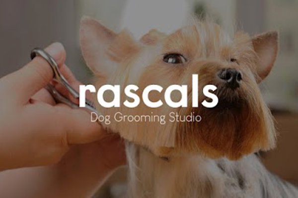 Photo associated with Rascals Dog Grooming Studio