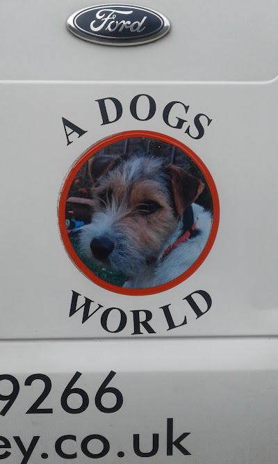Photo associated with A Dogs World