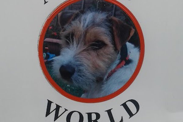 Photo associated with A Dogs World