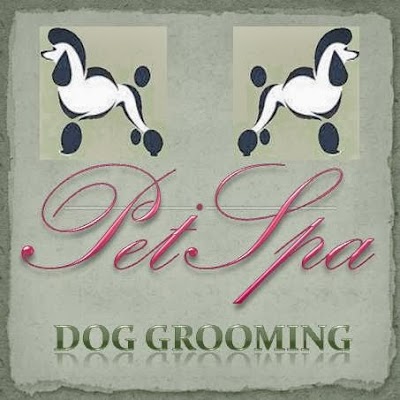Photo associated with PetSpa Doncaster Dog Grooming
