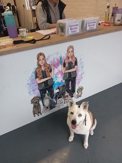 Photo associated with Shelby and Sally's groomers