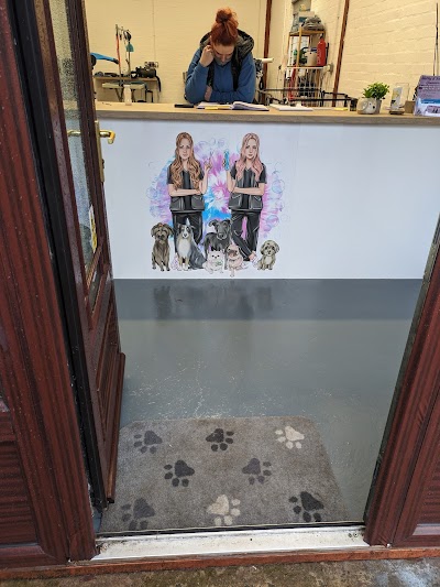 Photo associated with Shelby and Sally's groomers