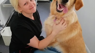 Photo associated with Barks and Bubbles dog grooming