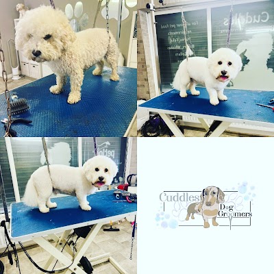 Photo associated with Cuddles Dog Grooming