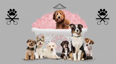 Photo associated with Scruffy 2 Fluffy Dog Groomers Ltd