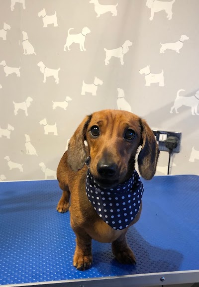Photo associated with GroomingTails Dog Salon