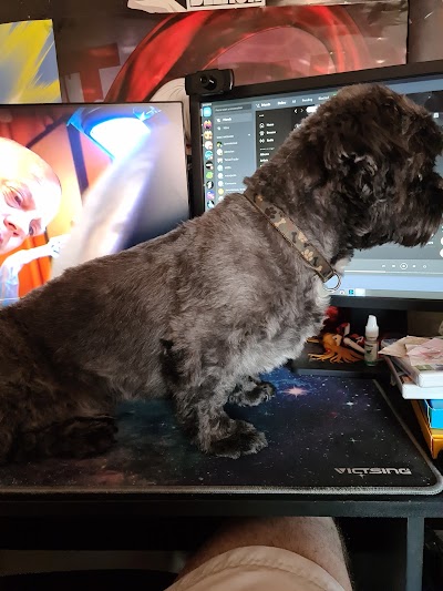 Photo associated with Jills Dog Grooming