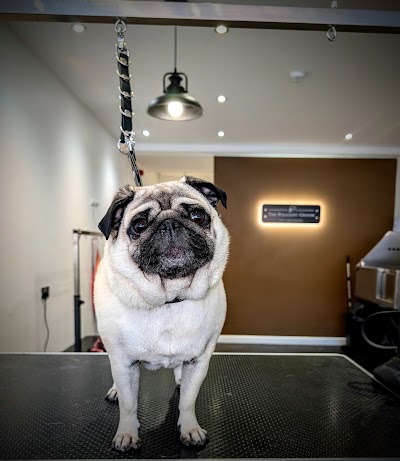 Photo associated with The Pleasant Groom Lytham Pet Groomers