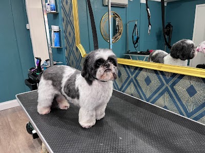 Photo associated with The Paw Pad Dog Groomers Dursley