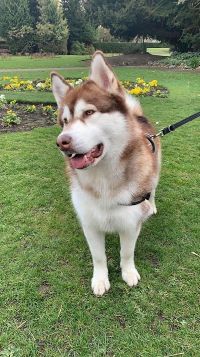 Photo associated with CJS Dog Grooming