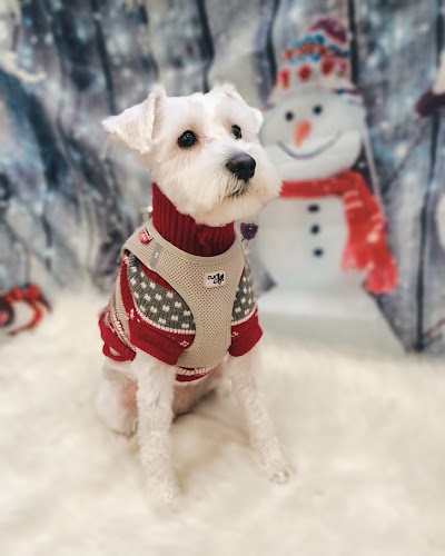 Photo associated with Bird-Dog Grooming Ltd
