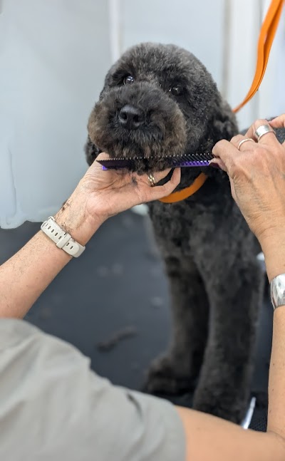 Photo associated with Muddy Paws Dog Grooming