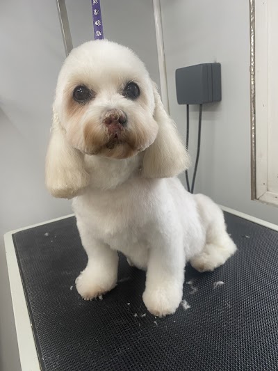 Photo associated with Muddy Paws Dog Grooming