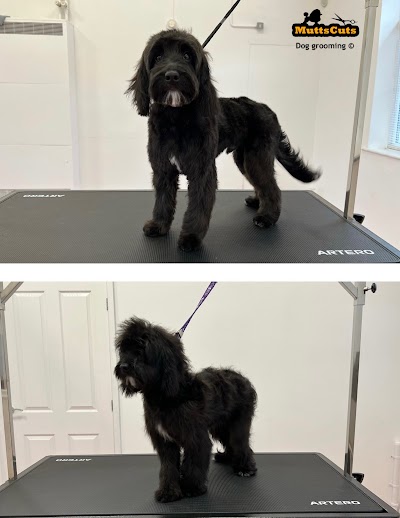 Photo associated with Mutts Cuts Dog Grooming