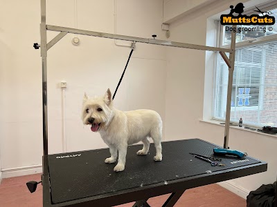 Photo associated with Mutts Cuts Dog Grooming